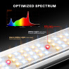 LED kasvatuslamp Spider Farmer SE5000
