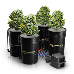 Hüdroponiline süsteem Mars Hydro DWC 4