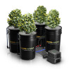Hüdroponiline süsteem Mars Hydro DWC 4