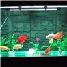 33 LED veekindel valgustus akvaariumidele 59 cm