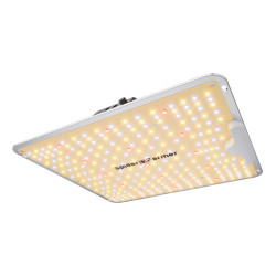 LED kasvatuslamp Spider Farmer SF1000