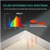 Mars Hydro TSW2000 Quantum Board - taimede kasvatamise valgusti