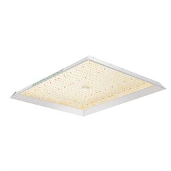 Mars Hydro TS3000 Quantum Board - taimede kasvatamise valgusti