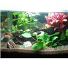 42 LED veekindel valgustus akvaariumidele 78 cm