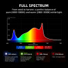 LED kasvatuslamp Spider Farmer G3000